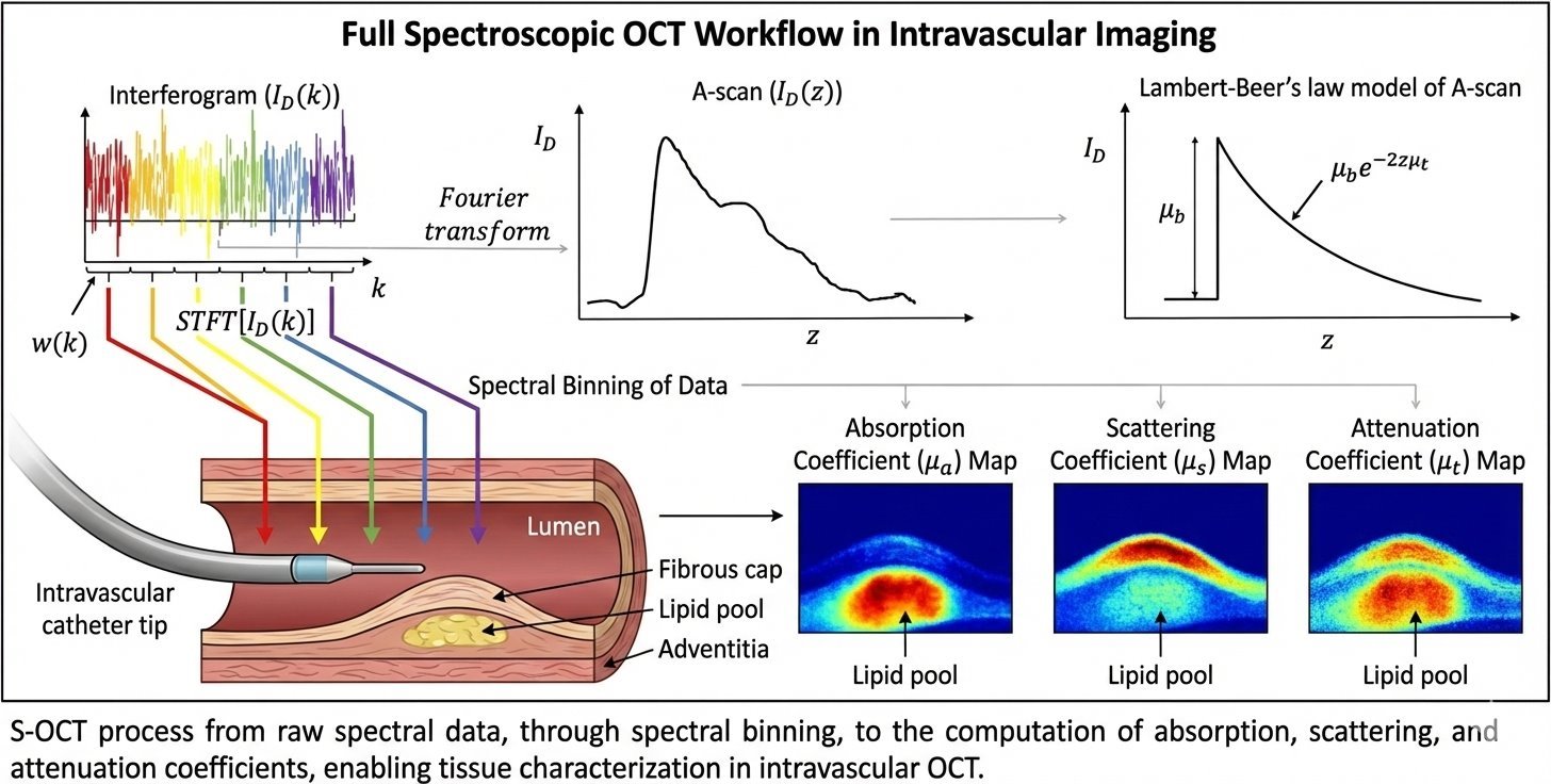 Spectroscopic OCT